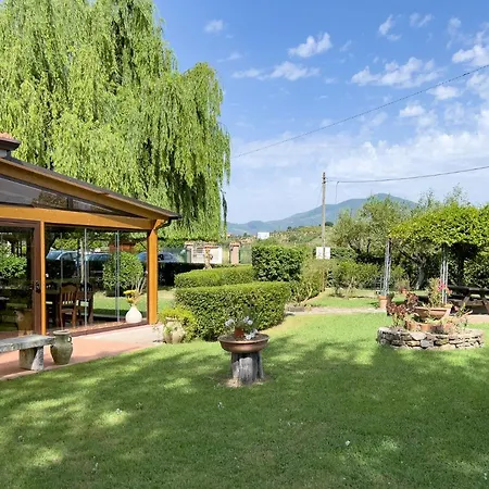 Terra Di Elea Azienda Agricola Di Raimondo Michela * Ascea