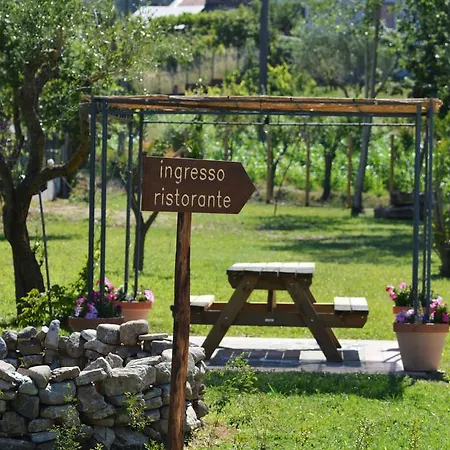 Terra Di Elea Azienda Agricola Di Raimondo Michela Kır Evi *
