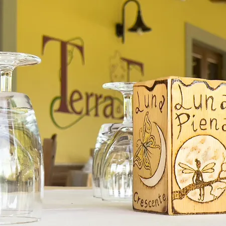 Terra Di Elea Azienda Agricola Di Raimondo Michela Ascea