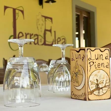 Terra Di Elea Azienda Agricola Di Raimondo Michela Country house