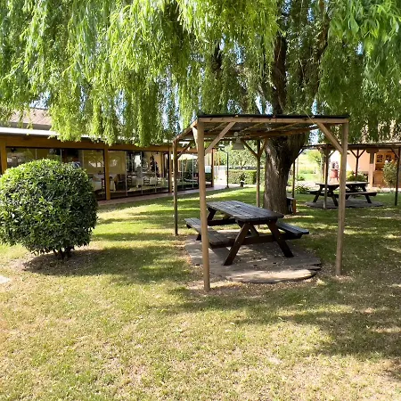 Terra Di Elea Azienda Agricola Di Raimondo Michela *