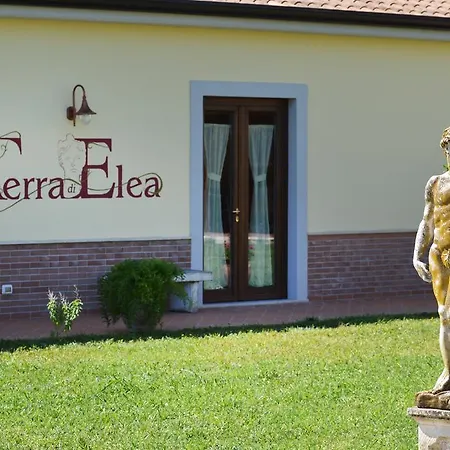 Terra Di Elea Azienda Agricola Di Raimondo Michela Country house Ascea