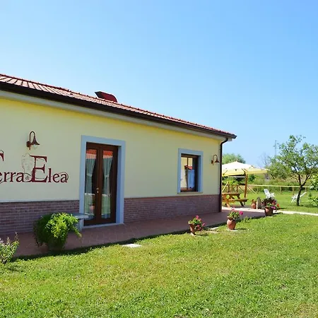 Terra Di Elea Azienda Agricola Di Raimondo Michela *