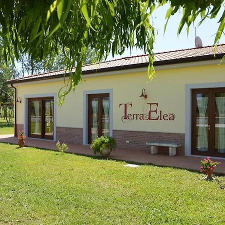 Terra Di Elea Azienda Agricola Di Raimondo Michela Ascea