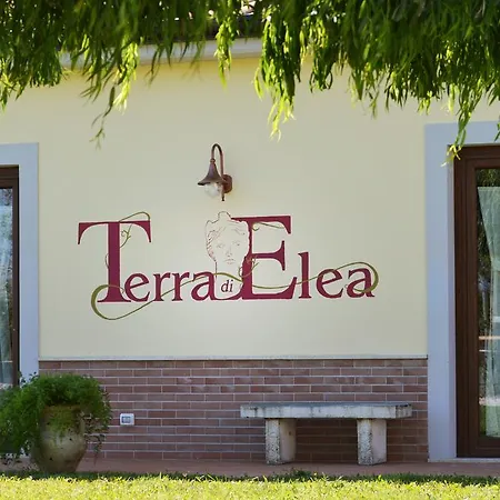 Terra Di Elea Azienda Agricola Di Raimondo Michela *