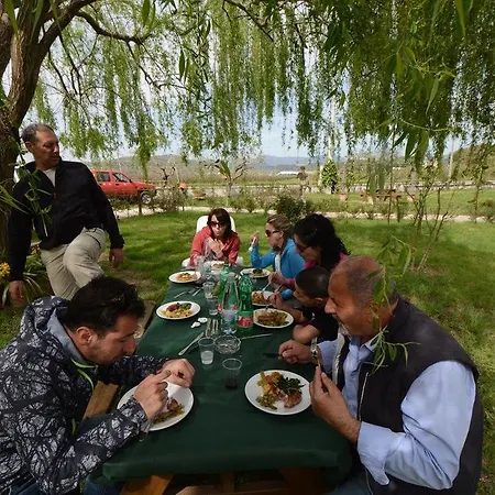 Terra Di Elea Azienda Agricola Di Raimondo Michela Country house