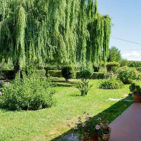 Terra Di Elea Azienda Agricola Di Raimondo Michela Ascea